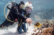 ДАЙВИНГ С ЯХТЫ В ХУРГАДЕ $22(ЕСТЬ КУРС OPEN WATER)