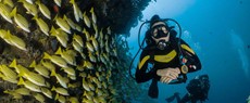 ДАЙВИНГ С ЯХТЫ В ХУРГАДЕ $22(ЕСТЬ КУРС OPEN WATER)