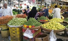 ОБЗОРНАЯ ЭКСКУРСИЯ ПО ХУРГАДЕ ОТ $4/С ЧЕЛОВЕКА