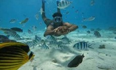 ОСТРОВ ORANGE BAY НА ТРЕХПАЛУБНОЙ ЯХТЕ $20