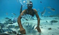 ОСТРОВ ORANGE BAY НА ТРЕХПАЛУБНОЙ ЯХТЕ $20