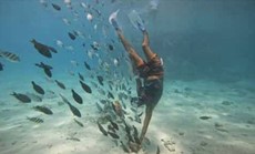 ОСТРОВ ORANGE BAY НА ТРЕХПАЛУБНОЙ ЯХТЕ $20