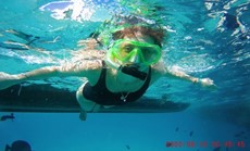 RED SEA DOPLHIN БАТИСКАФ+3,5ЧАCА НА О. ПАРАДАЙЗ $25